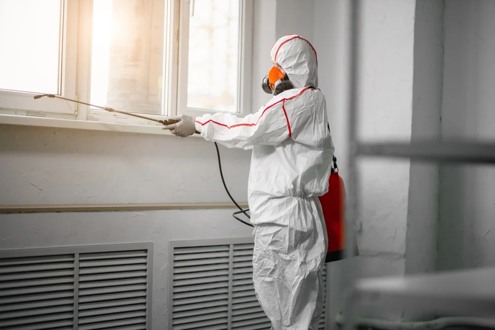 Professional mold remediation services in Princeton Junction, NJ